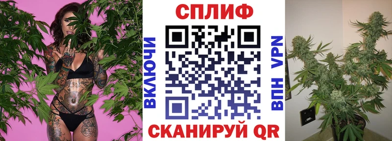 Бошки Шишки планчик  блэк спрут ССЫЛКА  Закаменск 